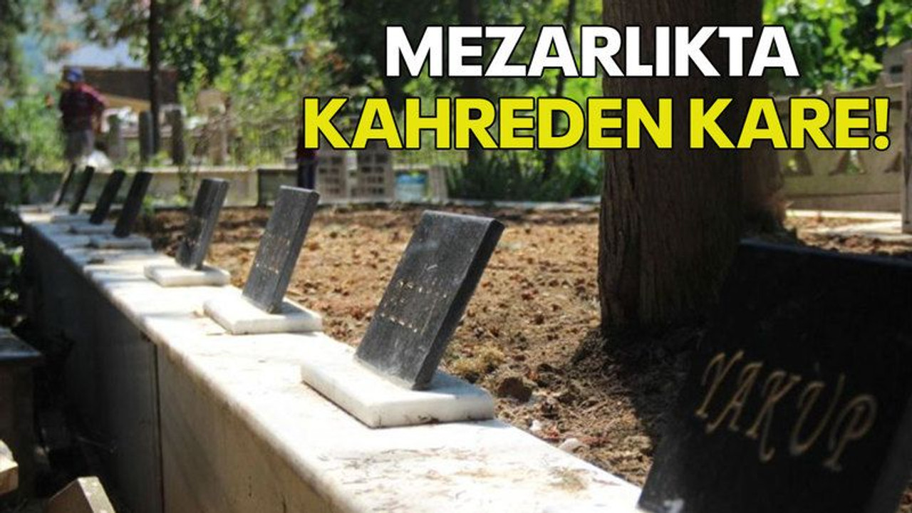 Mezarlıkta kahreden kare